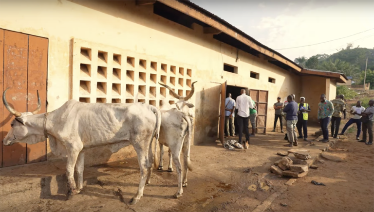 FAO Boosts Togo’s Healthcare with Equipment Donation.