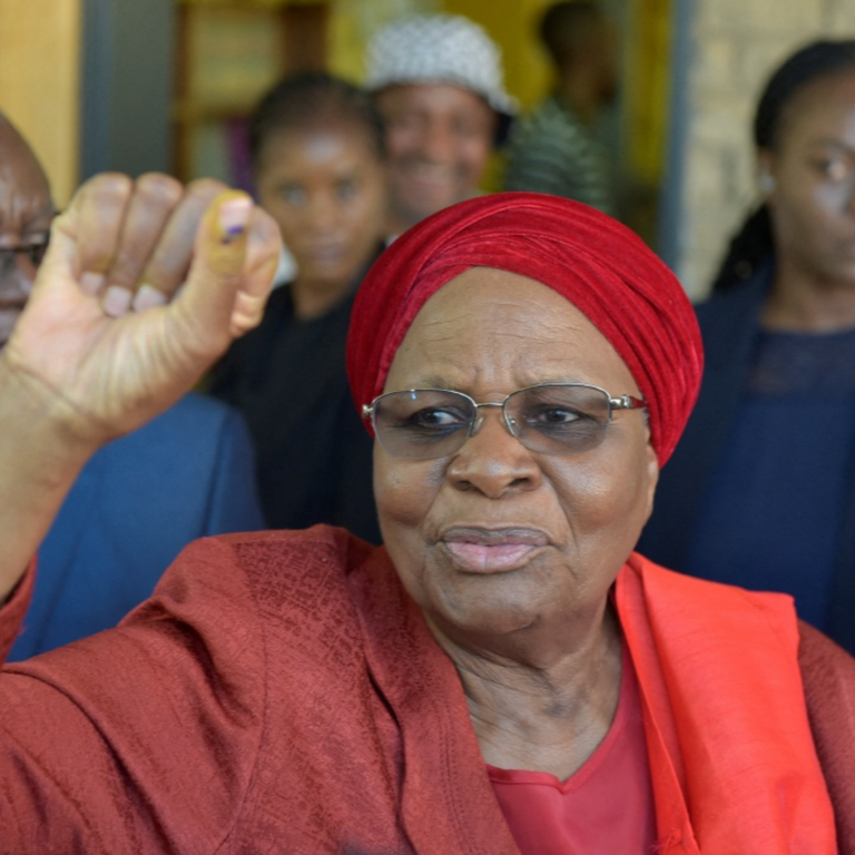 Namibia’s New President Pledges to Boost the Economy and Reduce Unemployment.