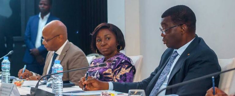 West African Development Bank Seeks Input on Future Strategy in Togo