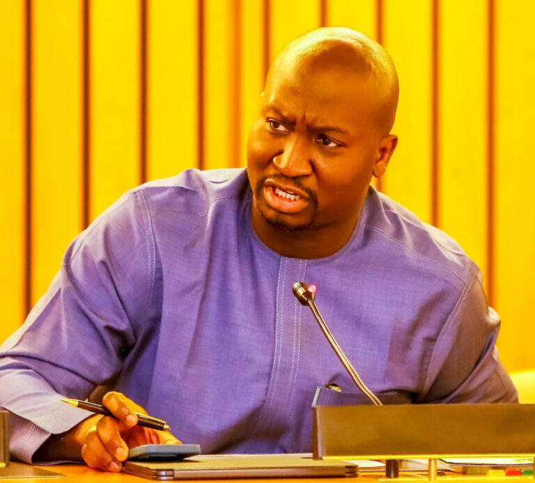 Nigeria Steps Forward: NALDA CEO Joins Global Voices at UN Food Summit in Ethiopia