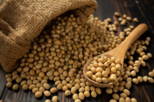 Togo Aims to Boost organic