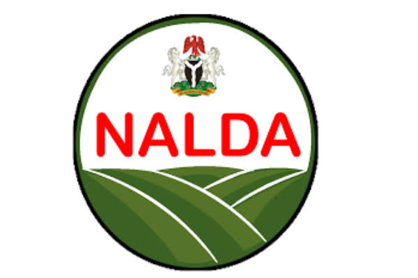 NALDA Accomplishments Driving Food Security and Empowerment