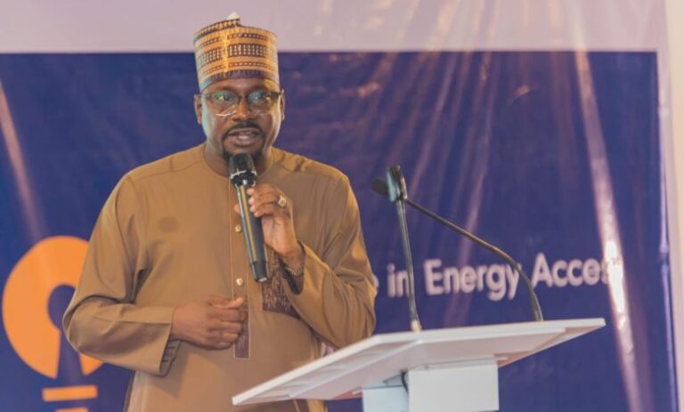 Renewable Energy Nigeria Push Targets 119 Million Lives and 31,000 Jobs