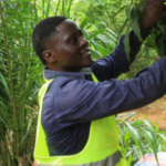 Togo Strengthens Environmental Policy with New Inspectorate for Sustainability and Protection