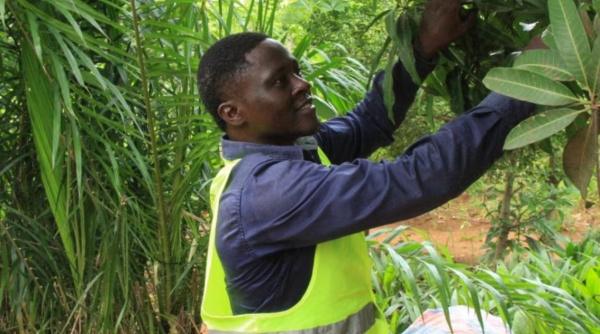 Togo Strengthens Environmental Policy with New Inspectorate for Sustainability and Protection