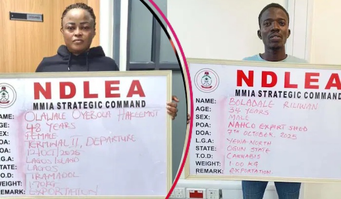 US, UK, DRC-Bound Illicit Drug Consignments Intercepted in Frozen Snails, Electrical Bulbs