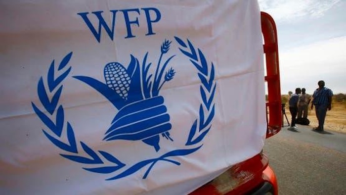 Aid Groups Warn of Escalating Hunger Crisis in Nigeria After Major US Funding Cuts