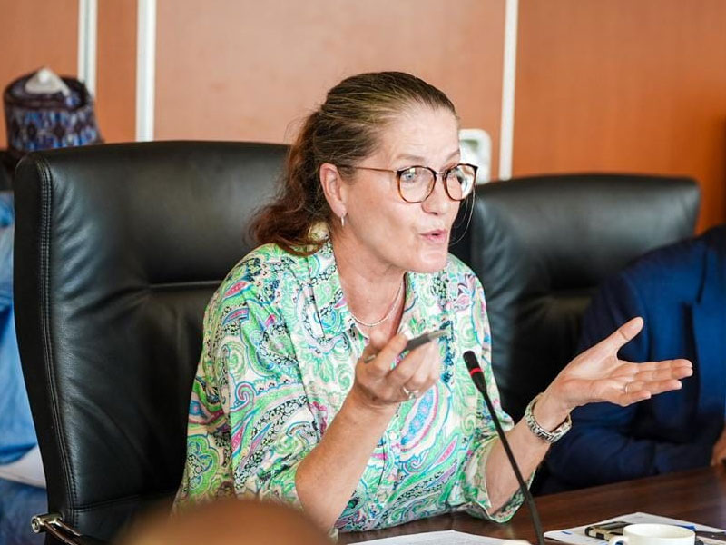 Nigeria-Germany Trade Volume Hits All-Time High €3bn, Says Ambassador Gunther