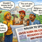 Investing in Nigeria’s Future: Why NALDA N2 Billion Projects Are a Strategic Move