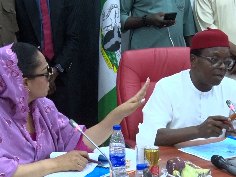 Natasha Akpoti Storms Out After Clash With Committee Chair At Steel Budget Hearing