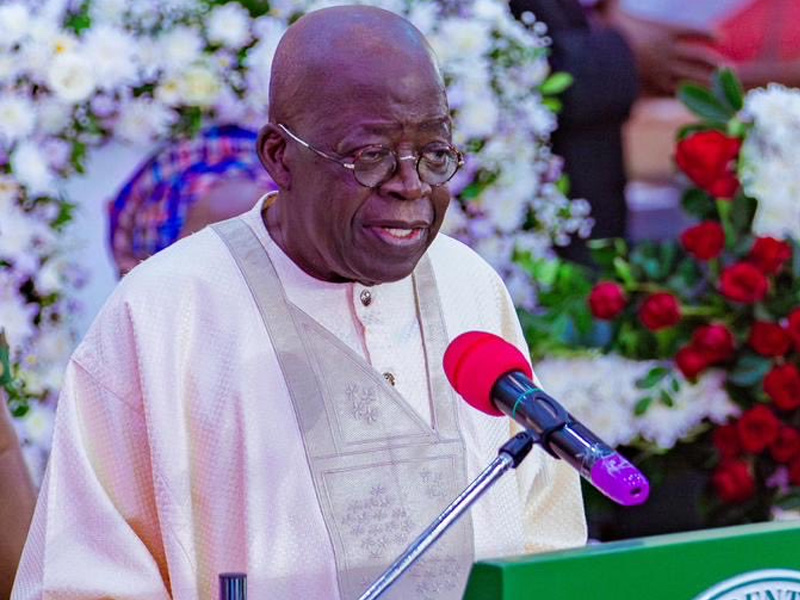 Tinubu Extends Ban On Raw Shea Nut Exports By One Year
