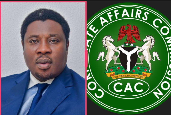 Ibrahim Ida Appointed CAC Chairman by Tinubu