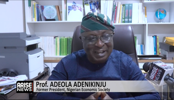 Adenikinju: The Lives Of Nigerians Have Not Changed Despite What Data Shows, Affordability Still a Major Challenge