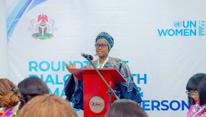 IWD 2026: UN Women Warns Nigeria’s Democracy at Risk as Women Hold Just 3.9% of Parliamentary Seats