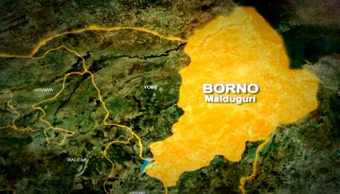 Over 300 Abducted As Terrorists Attack Borno Community