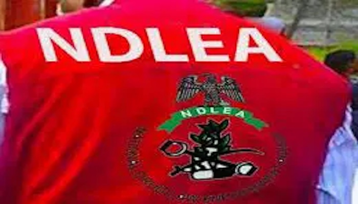 NDLEA Arrests 74-Year-Old Man With 11kg Cocaine At Abuja Airport