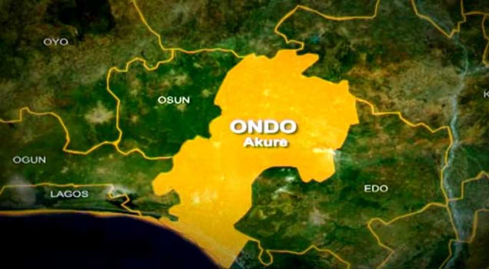 Ondo Community Appeals To Tunji-Ojo Over Activist’s Cyberstalking Trial
