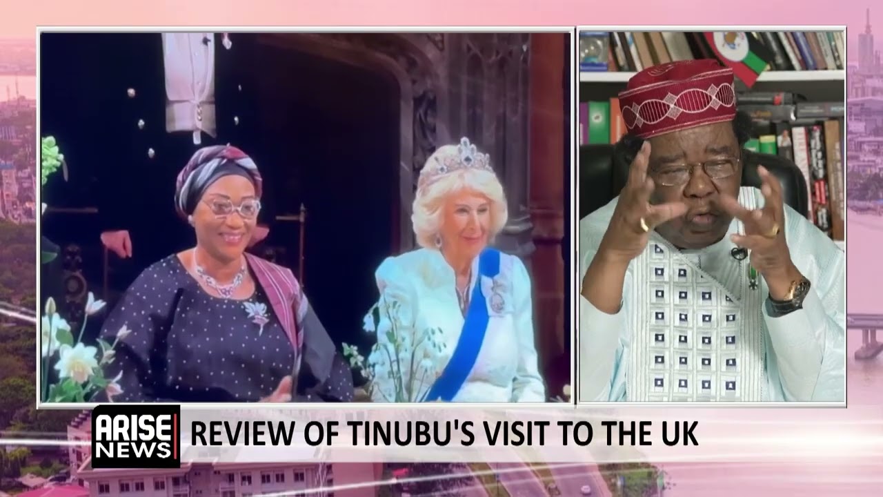 Bolaji Akinyemi: Tinubu’s State Visit Signals Global Confidence In Nigeria Despite Criticism