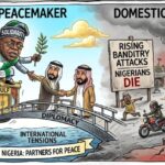 The Global Peacemaker: Why is Tinubu Fixing the World While Nigeria Fails?