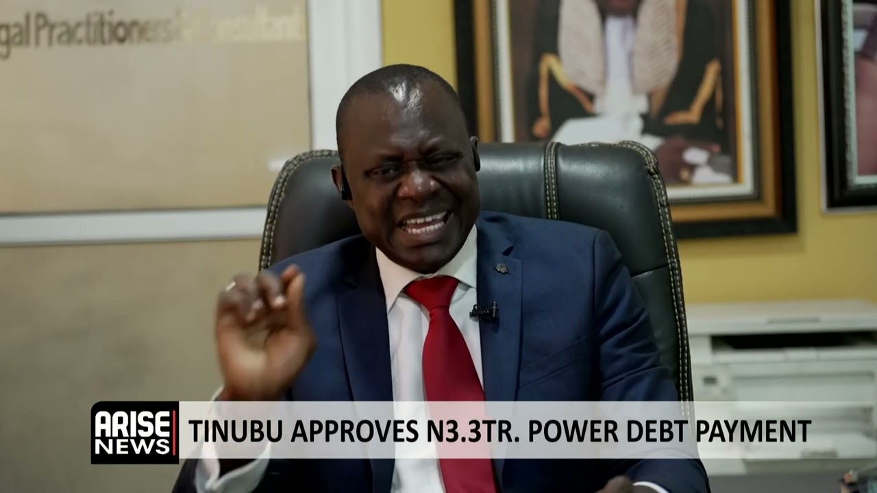 Yemi Oke: Nigeria Must Resell And Repurchase Its Power Sector