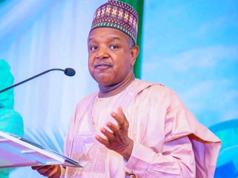 FG Urges UN To Drive Inclusive Hydrogen Economy, Warns Against Global Inequality