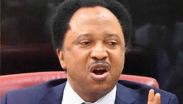 Shehu Sani Slams Opposition Senators’ Silence On Loans, Insecurity, Electoral Issues
