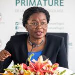 Togolese Prime Minister Resigns as Country Transitions to New Parliamentary System